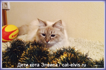 Невские маскарадные вязка