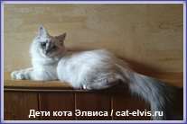 Невские маскарадные вязка