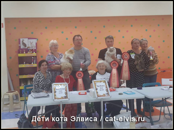 Невские маскарадные вязка