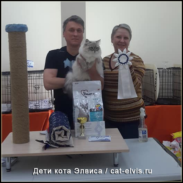 Невские маскарадные вязка