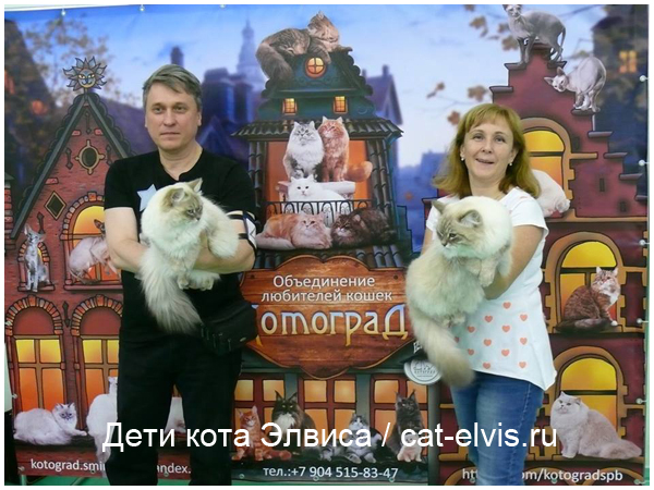 Невские маскарадные вязка