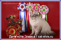 Невские маскарадные вязка
