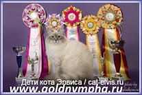 Невские маскарадные вязка