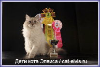 Невские маскарадные вязка