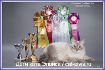 Невские маскарадные вязка