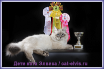 Невские маскарадные вязка