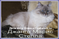 Невские маскарадные вязка