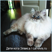 Невские маскарадные вязка