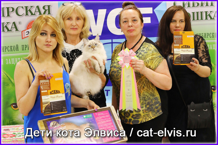 Невские маскарадные вязка