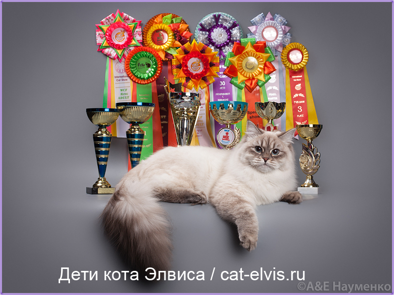Невские маскарадные вязка