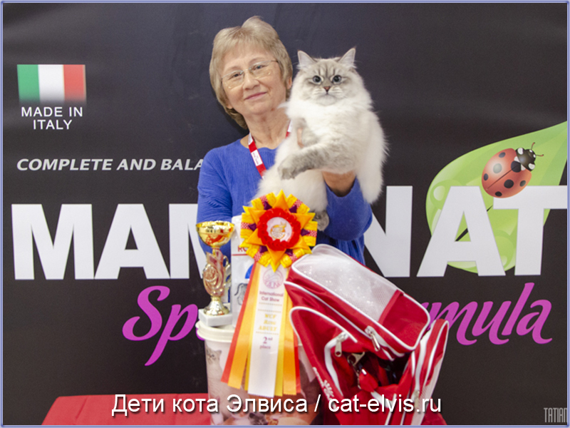 Невские маскарадные вязка