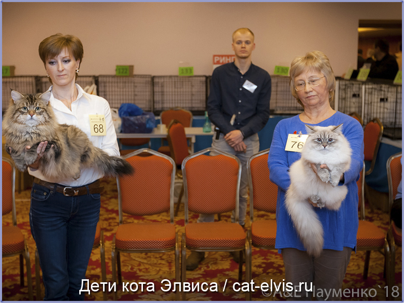 Невские маскарадные вязка