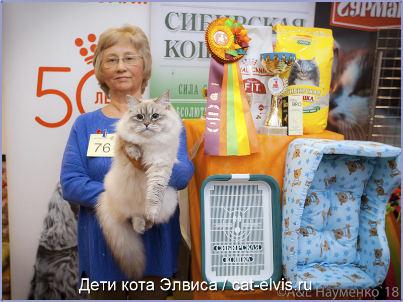 Невские маскарадные вязка