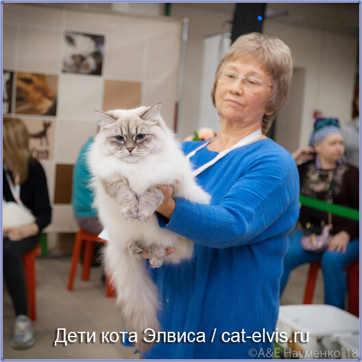 Невские маскарадные вязка
