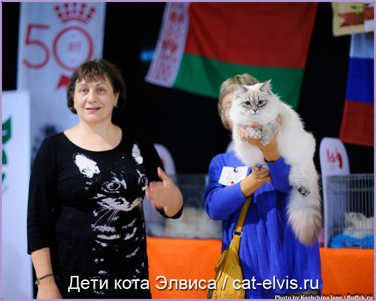 Невские маскарадные вязка