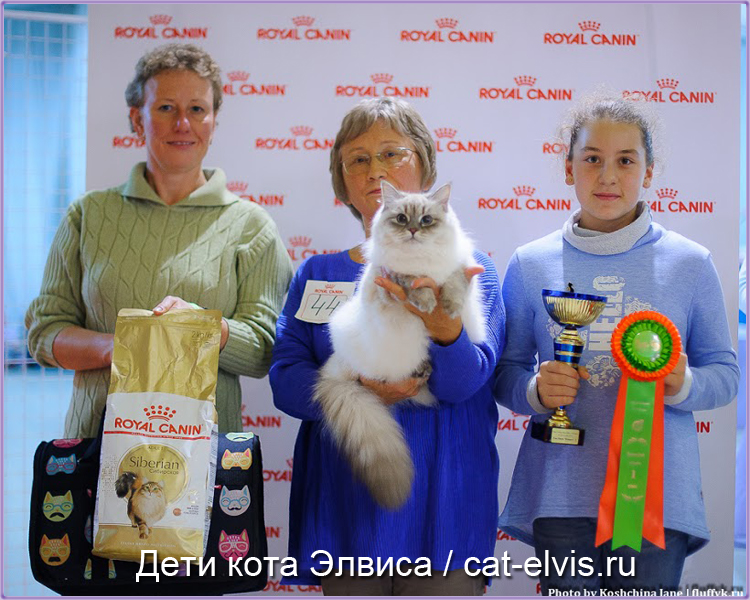 Невские маскарадные вязка
