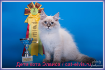 Невские маскарадные вязка