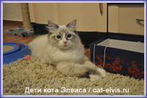 Невские маскарадные вязка