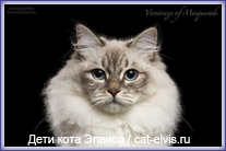 Невские маскарадные вязка