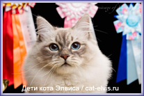 Невские маскарадные вязка