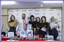 Невские маскарадные вязка