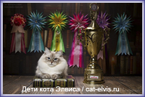 Невские маскарадные вязка