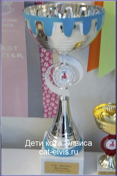 Невские маскарадные вязка