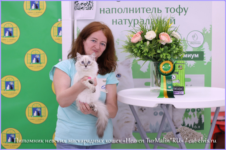 Невские маскарадные вязка
