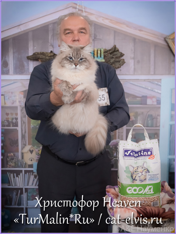Невские маскарадные вязка