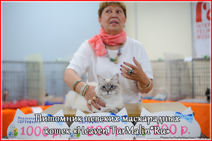 Невские маскарадные вязка