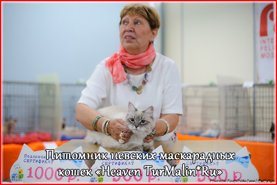 Невские маскарадные вязка
