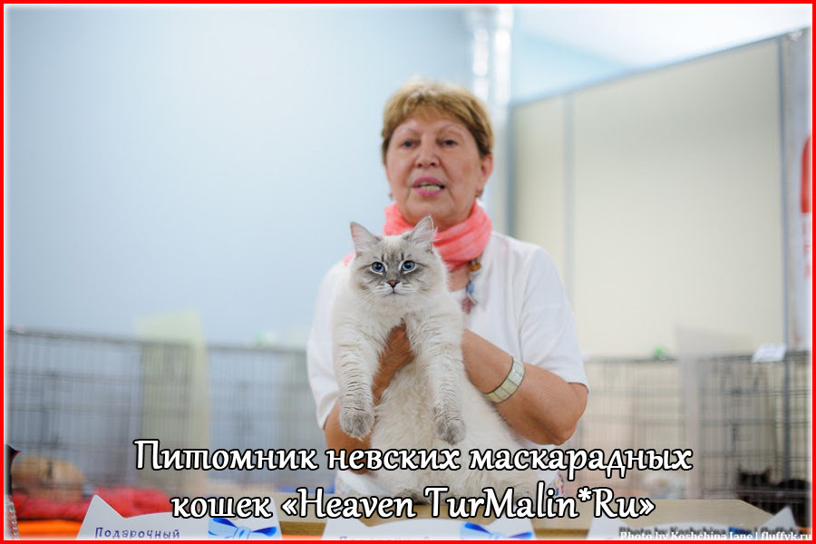 Невские маскарадные вязка