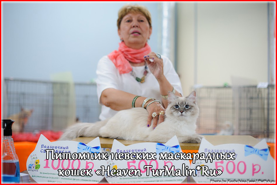 Невские маскарадные вязка