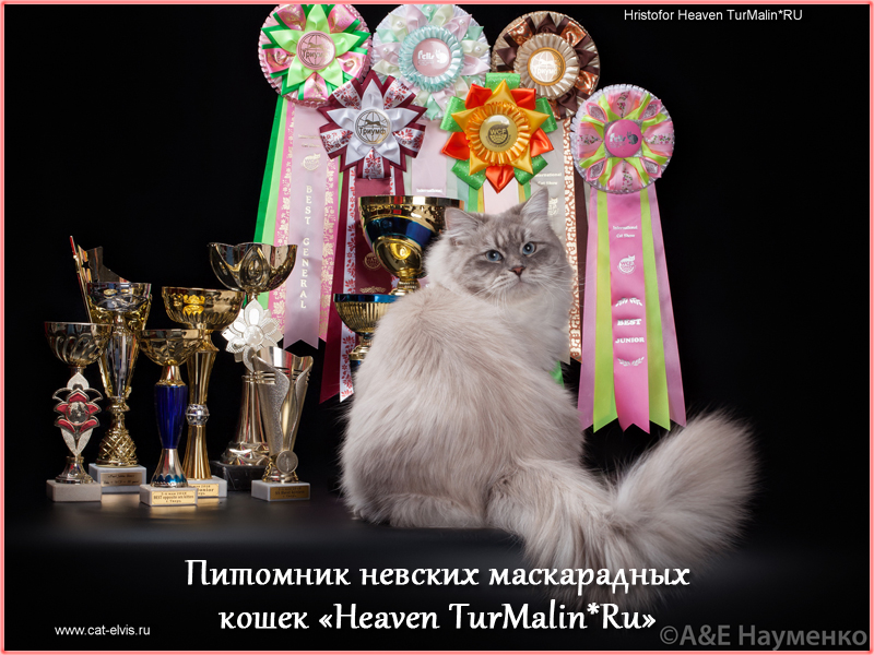 Невские маскарадные вязка