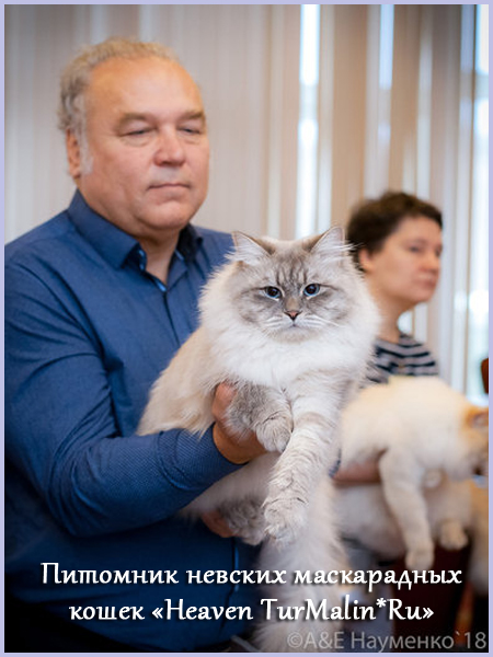 Невские маскарадные вязка