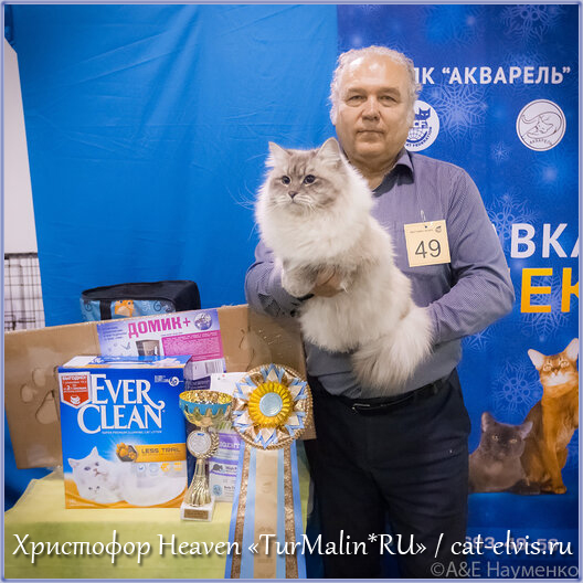 Невские маскарадные вязка