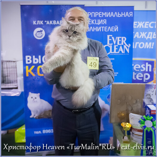 Невские маскарадные вязка