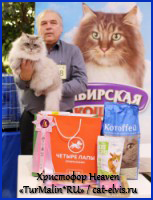 Невские маскарадные вязка