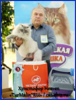 Невские маскарадные вязка