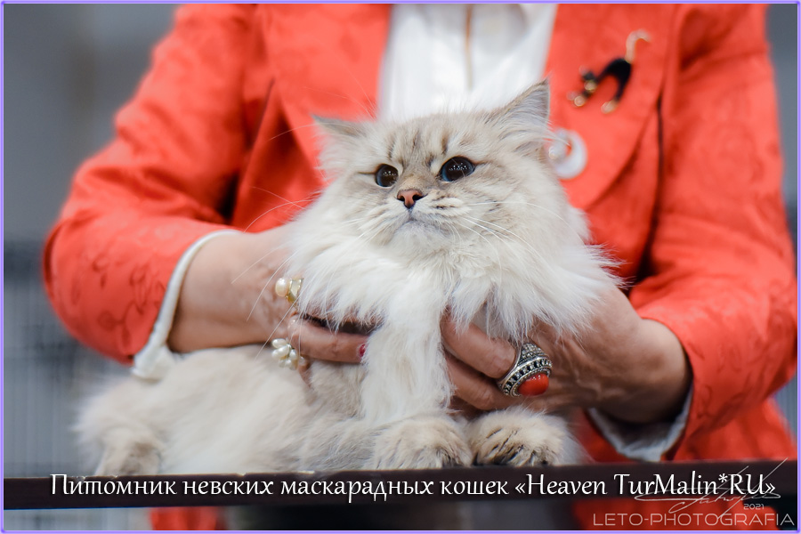 Невские маскарадные вязка