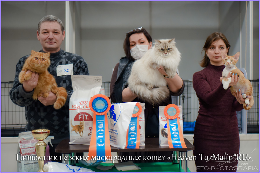 Невские маскарадные вязка