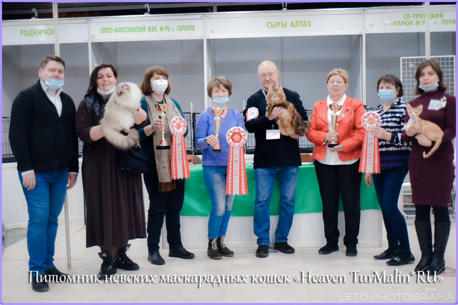 Невские маскарадные вязка