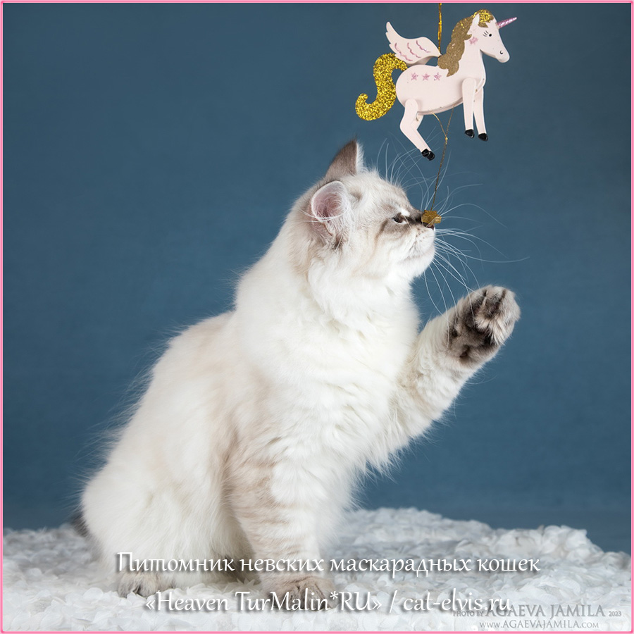 Невские маскарадные вязка
