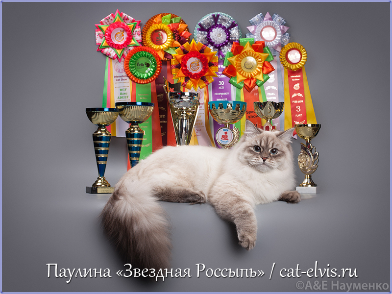 Невские маскарадные вязка