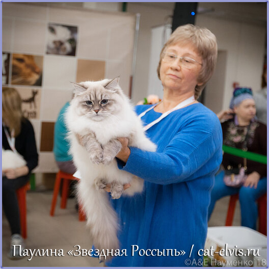 Невские маскарадные вязка