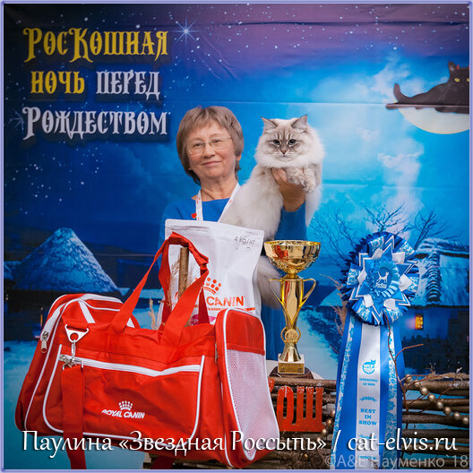 Невские маскарадные вязка